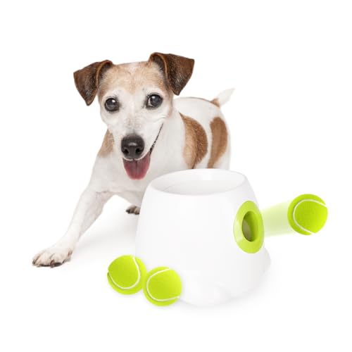 All FOR Paws Hyperfetch Ultimate Lanzador de Bolas automático Interactivo...