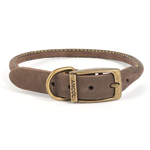 Ancol Collar Redondo de Piel para Perros, de Timberwolf