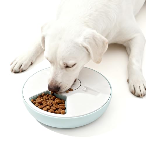 Comedero automático para gatos, comida húmeda para gatos, con temporizador...