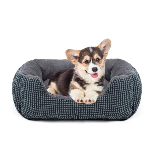 FURTIME Cama Perro, Cama Perros Pequeños Lavable Esponjoso, Camas Perros Suave...