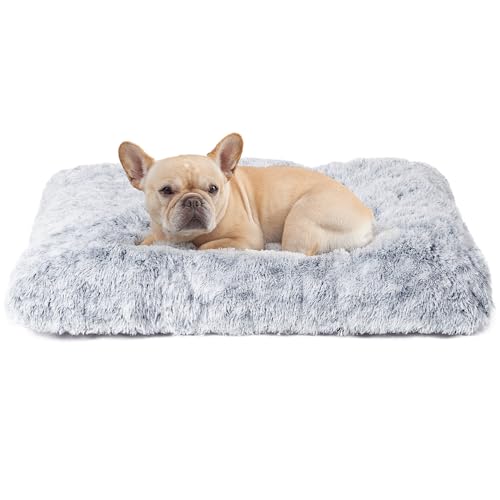 EHEYCIGA Felpa Cama Perros Pequeños 60x45x10cm, Colchon Perro Cama Perro...