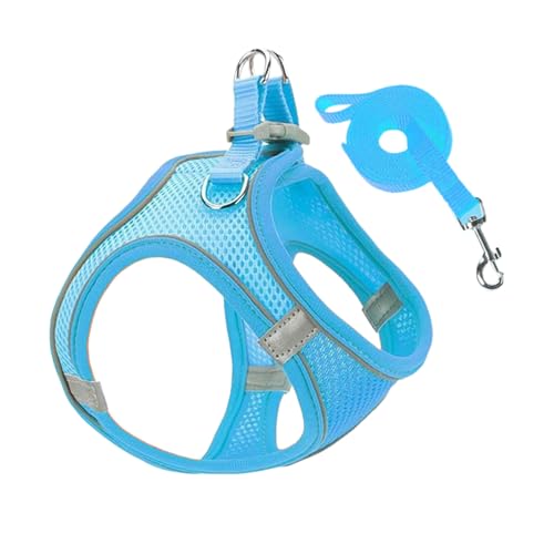 Besreey Arnés Y Correas para Perros Pequeños - Combinación De Arnés De Malla...