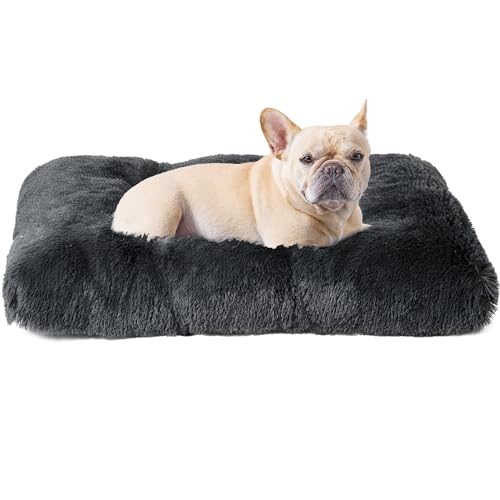 EHEYCIGA Felpa Cama Perros Pequeños 60x45x10cm, Colchon Perro Cama Perro...