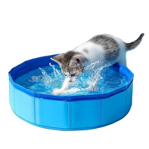 Pequeños Piscina para Gatos, 30×10cm Piscinas Plegable Gato, Piscina Perros...