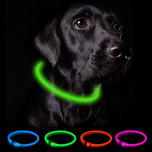 Nepfaivy Collar Luminoso Perro Recargable - 3 Modos Collar Perro Luz con...