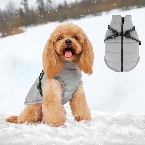 Waldspring Abrigo Perro Pequeño, Abrigo para Perros Pequeños, Chaqueta para...