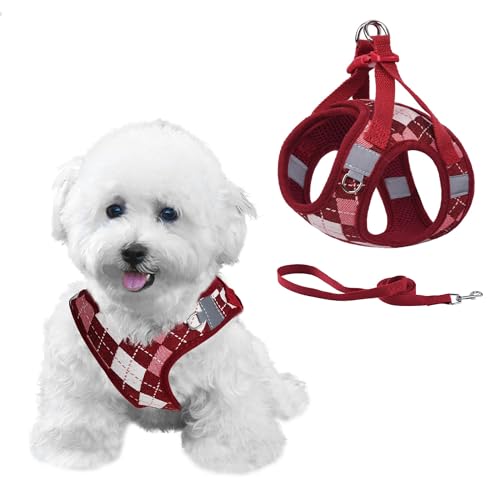 PawSailor Arnes para Perros Pequeño Arnés Antiescape Antitirones con Correa...