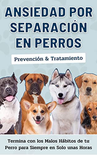 Ansiedad por Separación en Perros: Prevención y Tratamiento