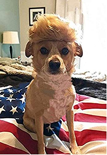 FMJI Peluca de perro estilo Trump, disfraz para mascota, peluca de gato Donald...