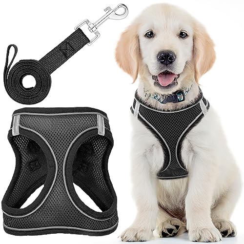 Arnés para Perros (pequeño, Negro) con Correa, diseño Suave Acolchado y sin...