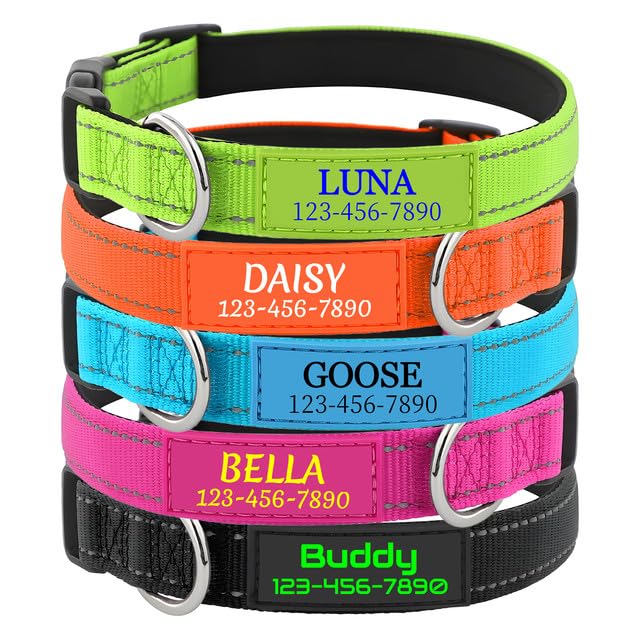 Collar Perro Personalizado con Nombre - Chapa Identificativa de Silicona, Nylon...