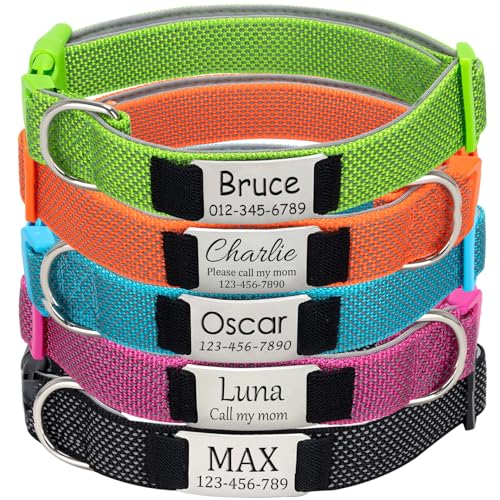 Collar Perro Personalizado con Chapa Grabada - Reflectante, Ajustable Acolchado...