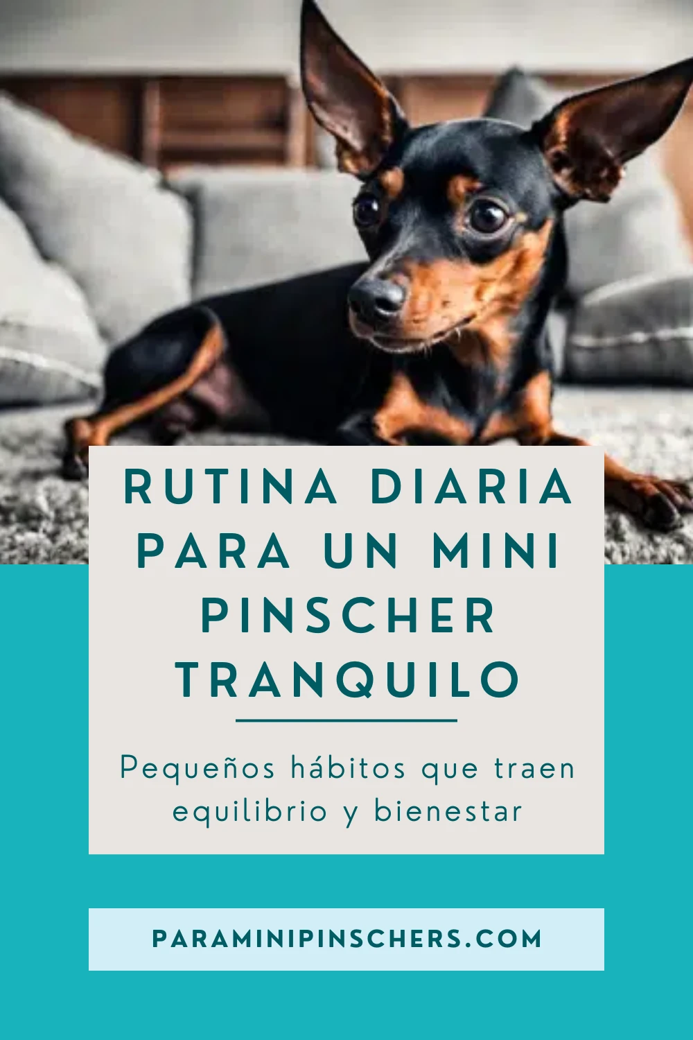 RUTINAS DIARIAS PARA MINI PINSCHERS