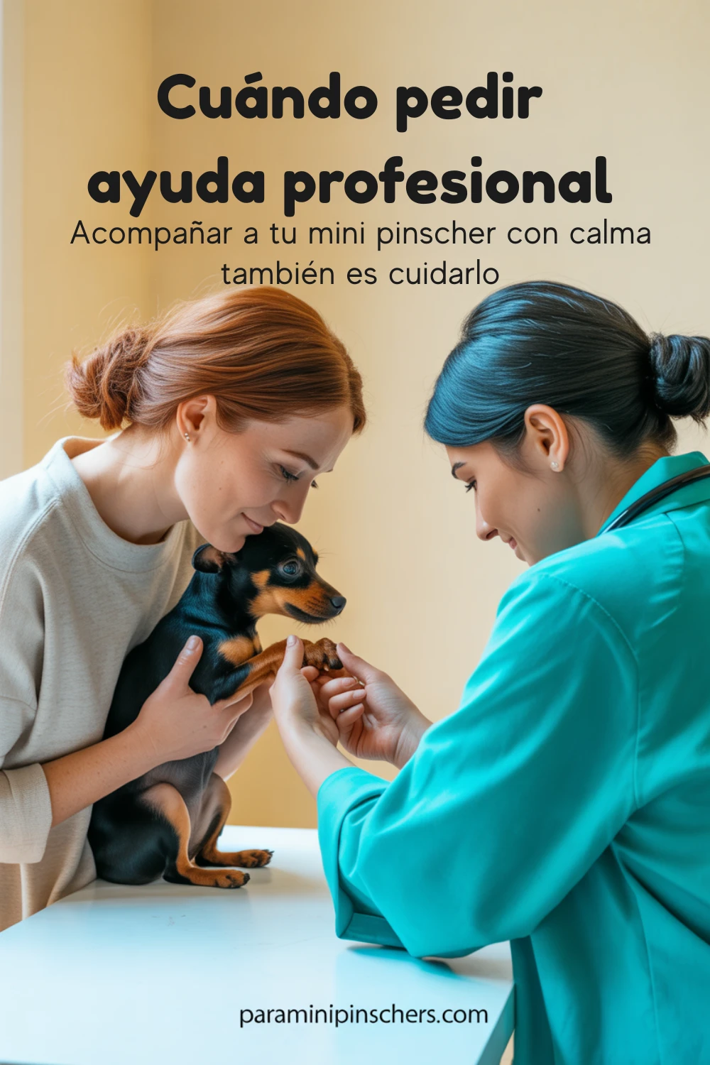 Cuándo pedir ayuda profesional para tu Mini Pinscher: acompañarlo con calma y cariño también es una forma de cuidado.