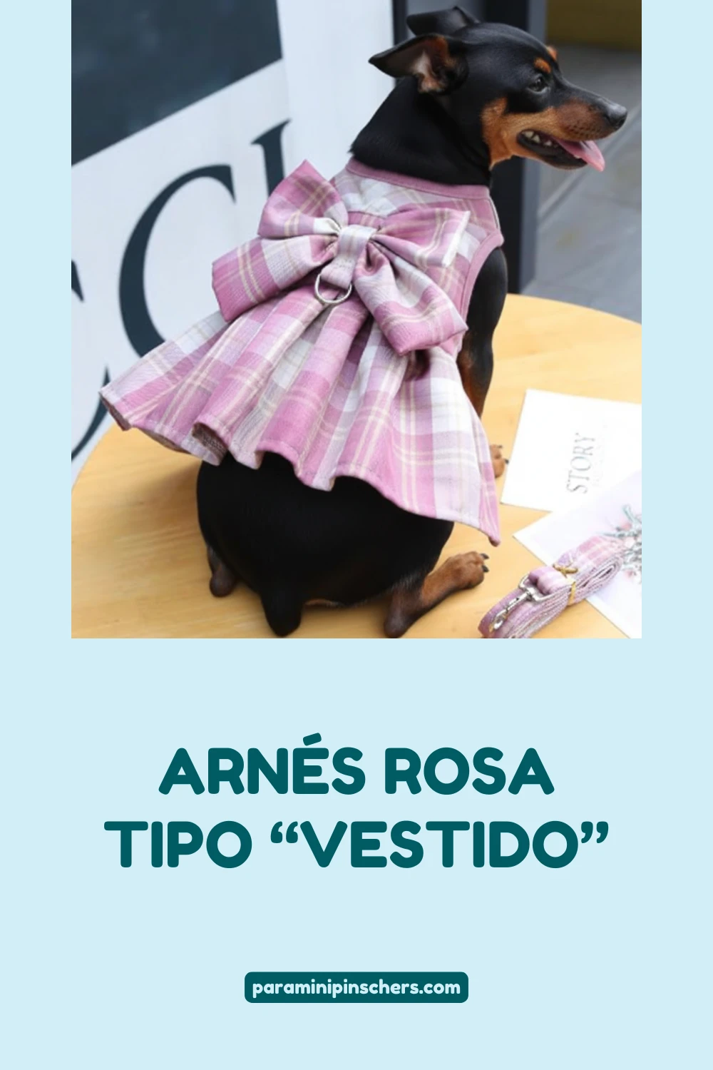 ARNES VESTIDO CON LAZO PARA PERROS PEQUEÑOS