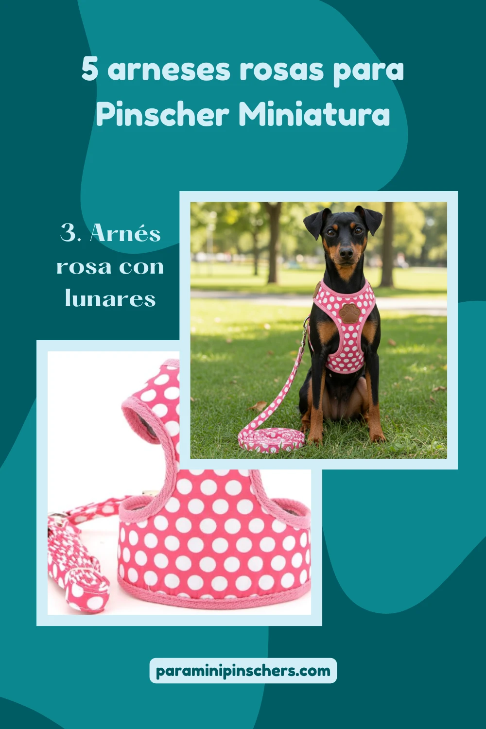 arnes rosa con lunares para mini pinscher