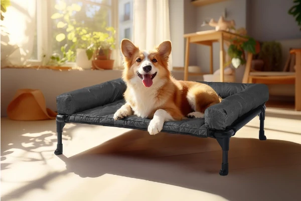 Cama elevada pinscher miniatura