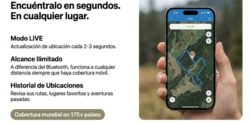 GPS PERROS PINSCHER MINIATURA