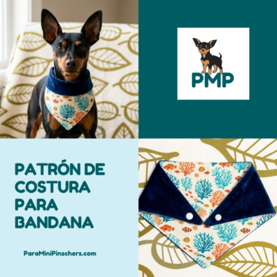 patron bandana mini pinscher